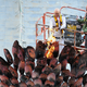 Illustration for article titled The Olympic Flame Dies, Gets Unceremoniously Relit By Old Guy On a Cherry Picker